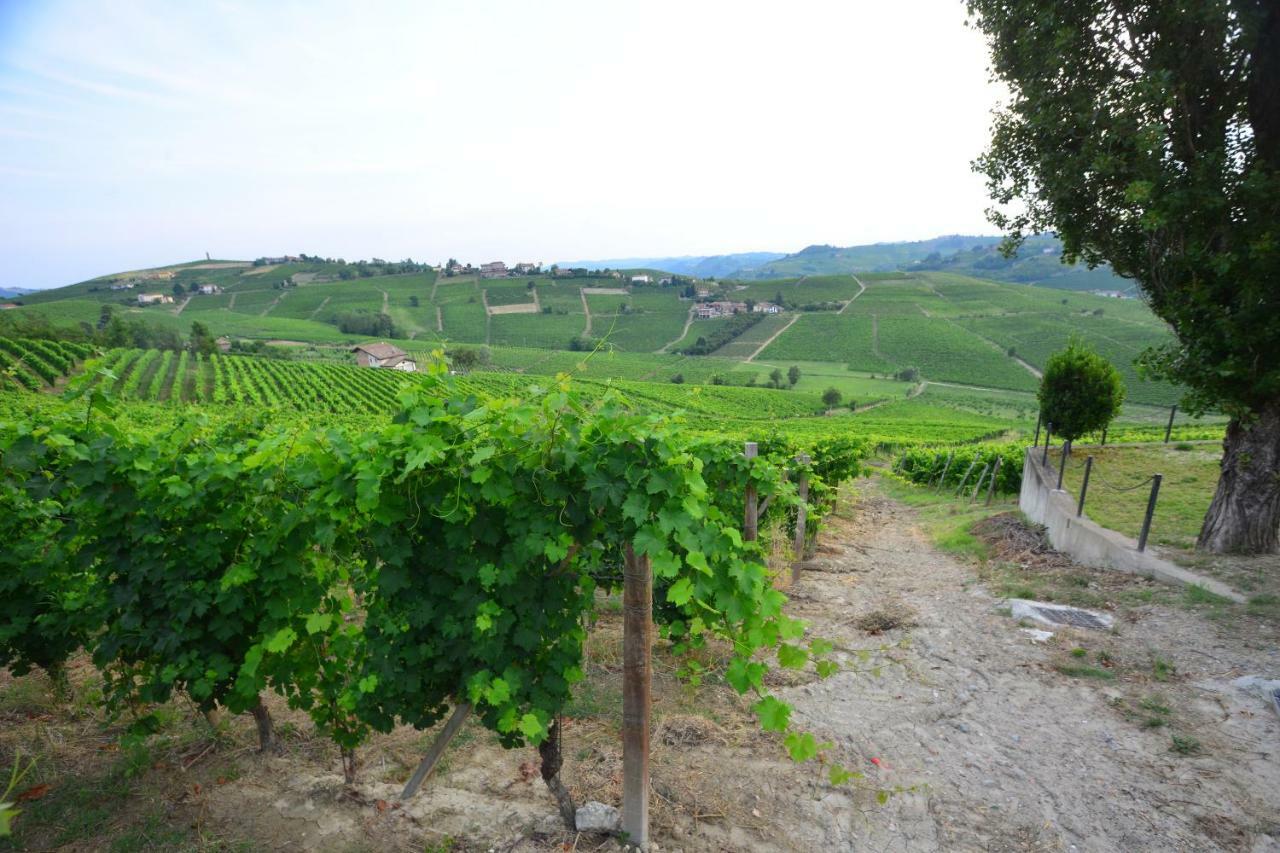 I Grappoli Villa Canelli Kültér fotó
